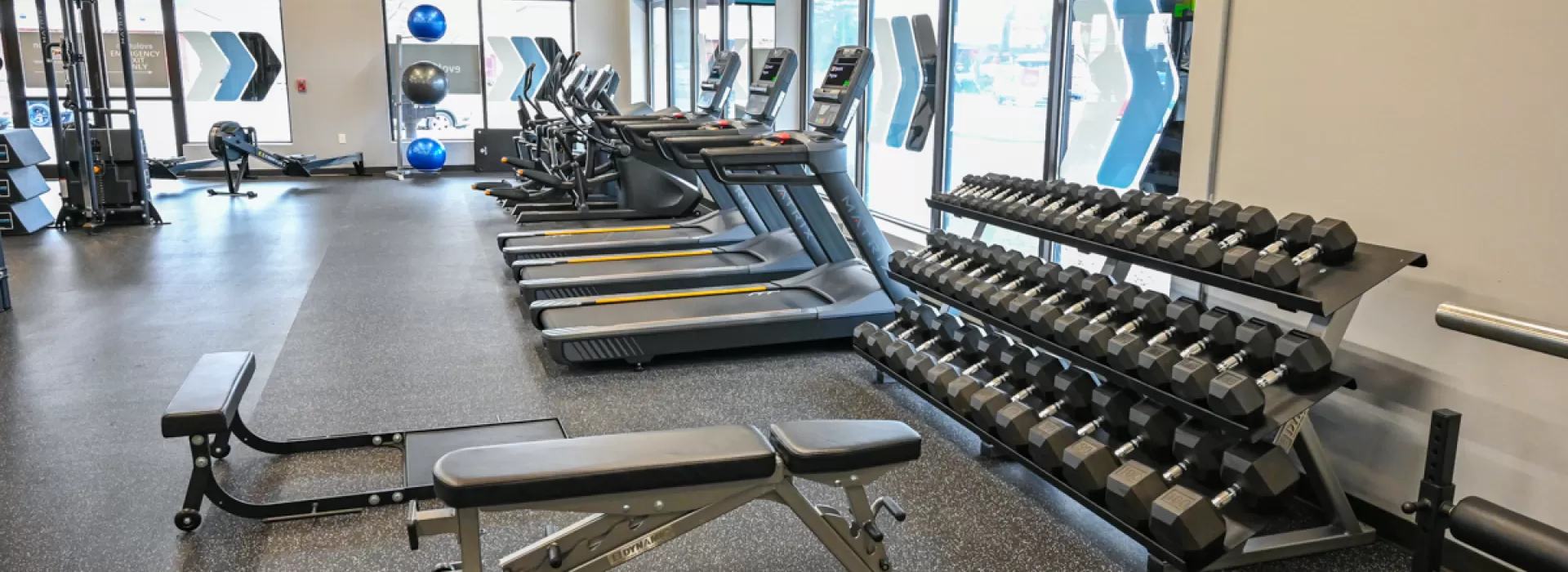 equipment in a gym