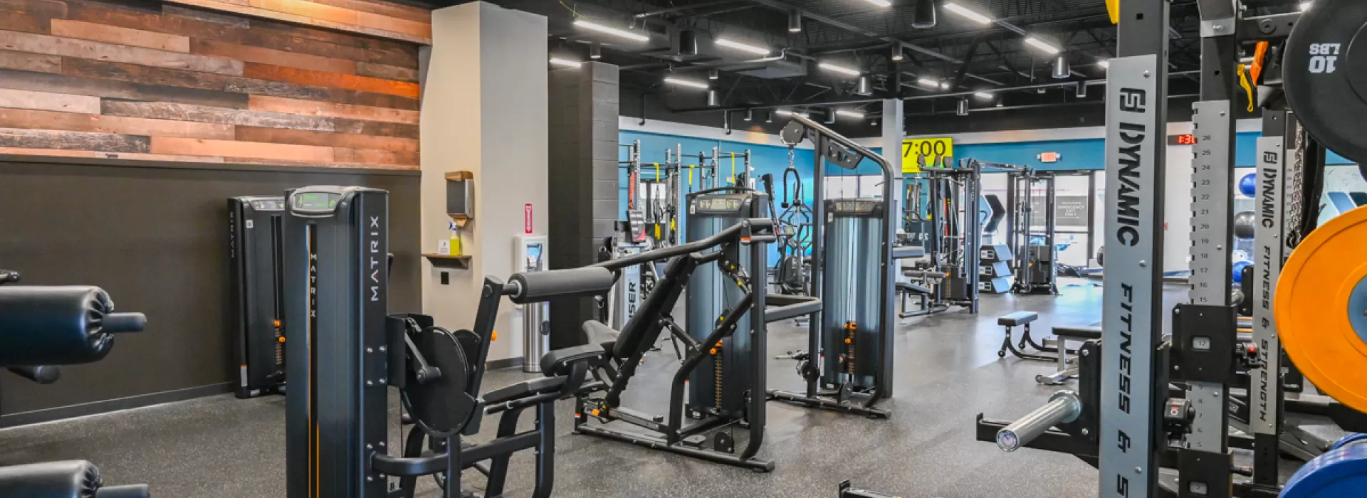 equipment in a gym