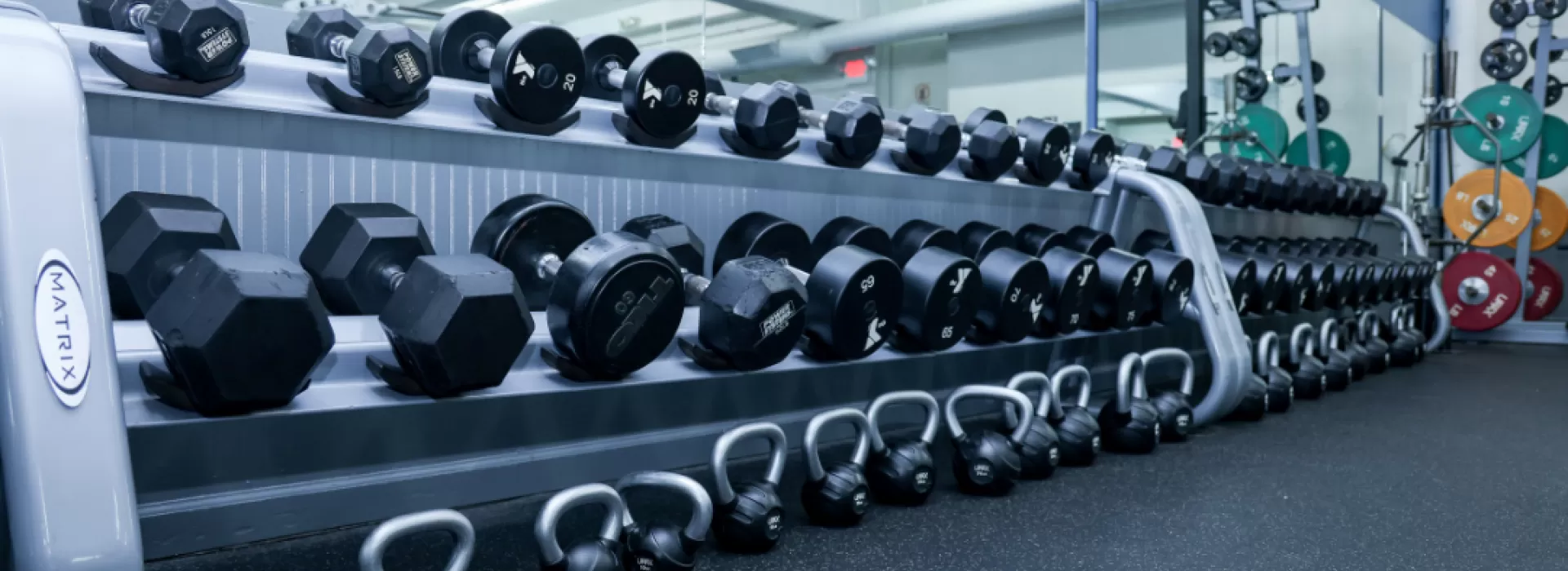 Troy YMCA has a wide variety of free weights at various sizes