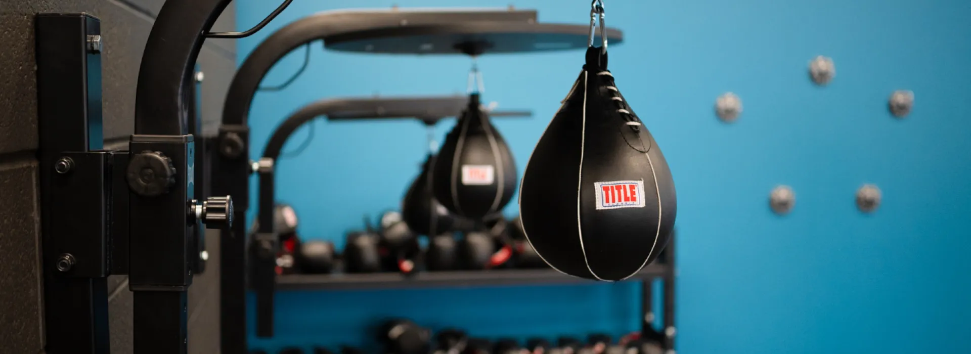 Parkinson's Center YMCA speed bags